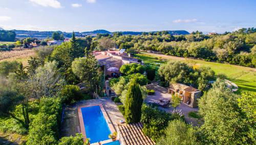 Higo Chumbo - Foto 3