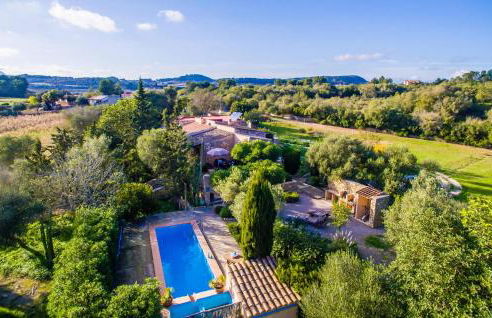 Higo Chumbo - Photo 3