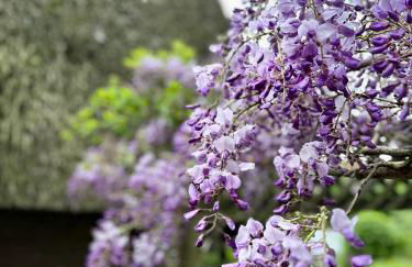 Ferienhaus im Schluh - Foto 2