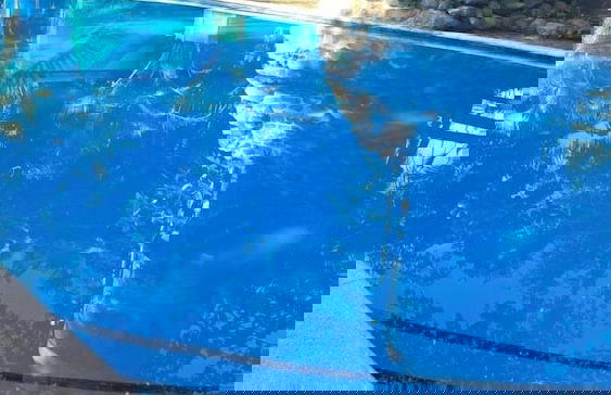 Rancho Fernandez - Photo 15