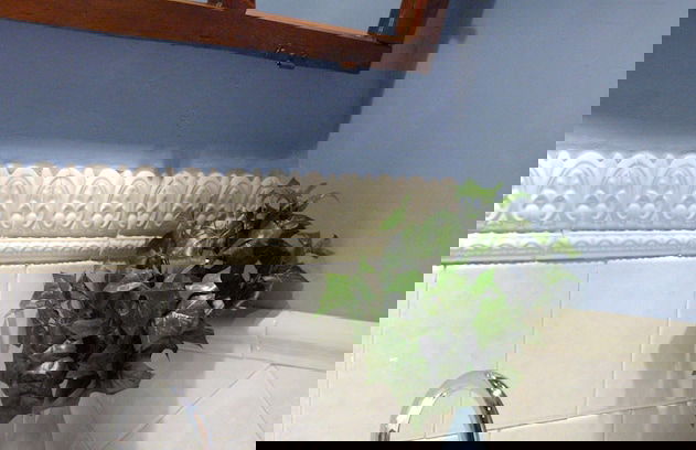 Rural Pedroches Casa Los Mineros - Foto 24