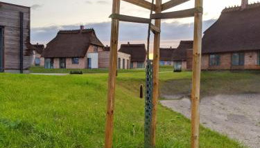 Reetdorf Geltinger Birk Malerhaus Wollgras - Foto 5