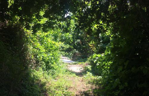 Villa Elani - Foto 11
