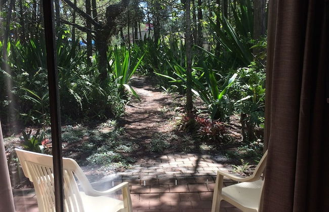 Byron Bay Rainforest Resort - Photo 22