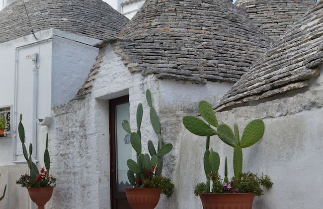 Giardino dei Trulli - Foto 34
