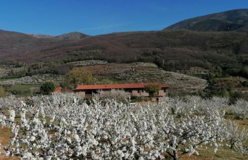 Complejo Rural Las Palomas - Foto 67