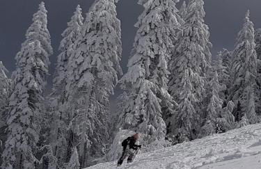 Ferienwohnung 32 im Ferienland Sonnenwald - Bayerischer Wald - Foto 28