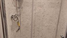 The Hollies - Foto 3, Shower