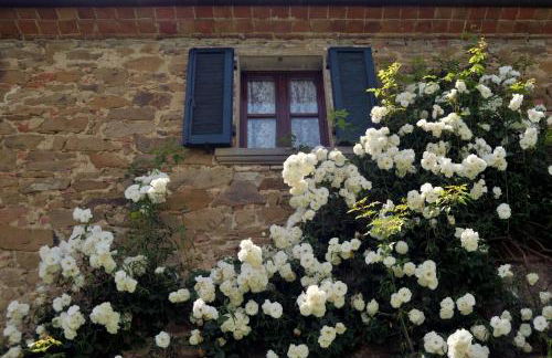 San Lorenzo - Foto 12