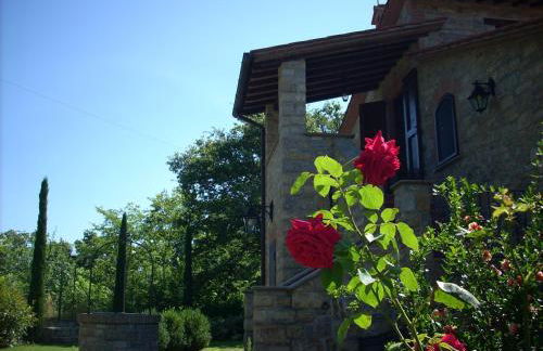 Le querce felici - Foto 24