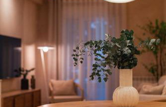 WOW APARTAMENTOS VALLADOLID - Photo 60