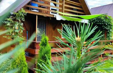 Domki w Bieszczadach - Foto 1