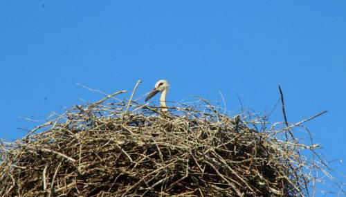 Ferienwohnung Klint 2 - Photo 3