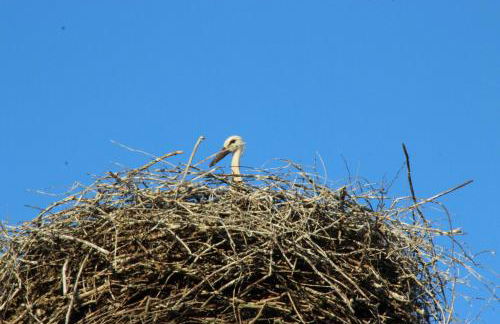 Ferienwohnung Klint 2 - Photo 3