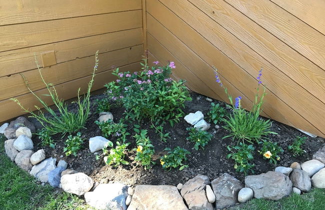 Restful Wildflower - Foto 36