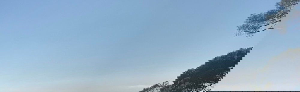 Apartment Good Vibes - Photo 1, Vue depuis l’hébergement