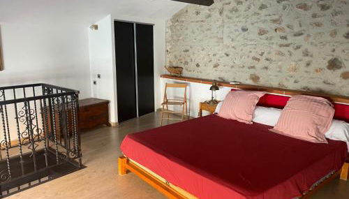 El pati català - Photo 4