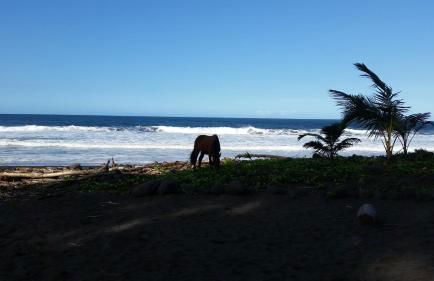 Hamakua Pukana La Hale 3 Bedroom Home by RedAwning - Foto 73