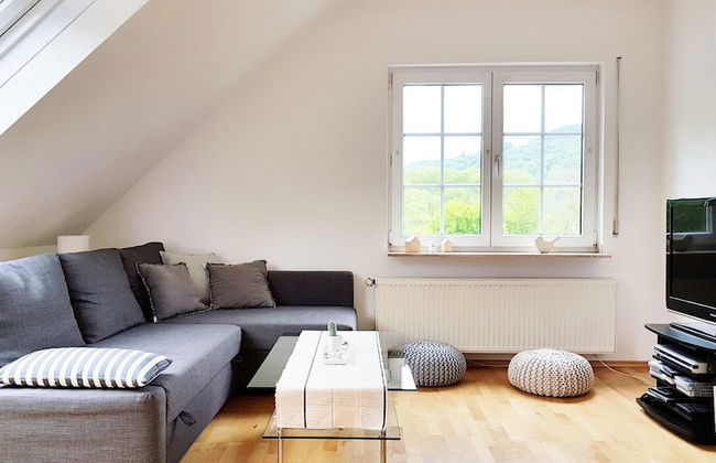 Bos en Kasteel - Foto 8