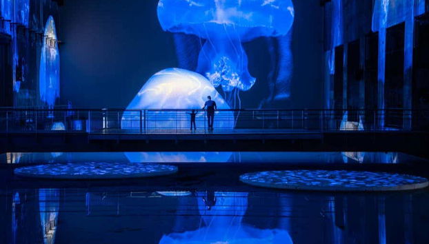 Les Bassins des Lumières Tickets - Photo 5