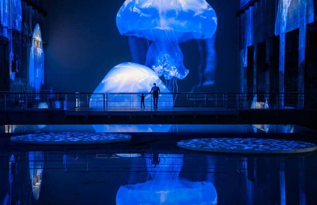 Entrada a Les Bassins des Lumières - Foto 5