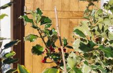 The House in the Cobbled Road - Foto 26