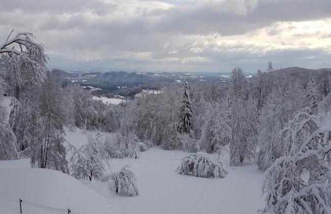 Apartment in the Bavarian Forest - Foto 35