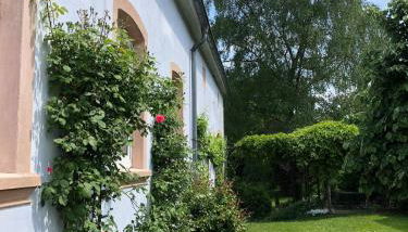 Ferienwohnung Maurer - Foto 2, Garden view, Other