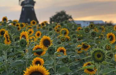Ferienwohnung-Wildblume - Foto 14