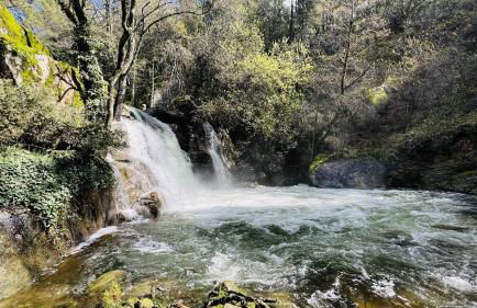 Villa Revolcona - Foto 33