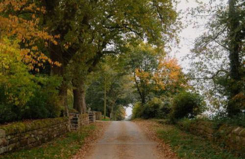 The Carriage House by Birch Stays - Photo 67