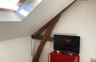 Ô Montrichard climatisé Zoo Beauval Chateau - Foto 14