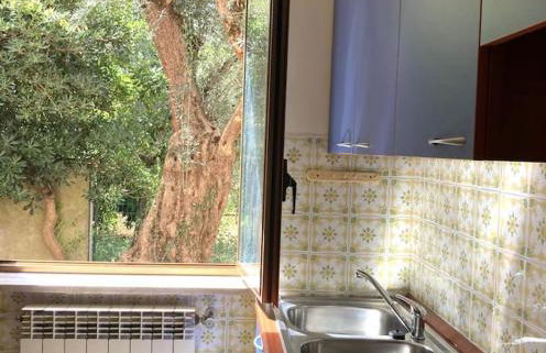 Casa Sisù-Appartamento immerso negli ulivi - Foto 24