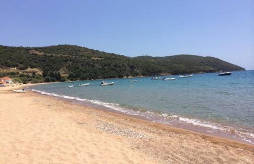 Sirius House - Photo 15