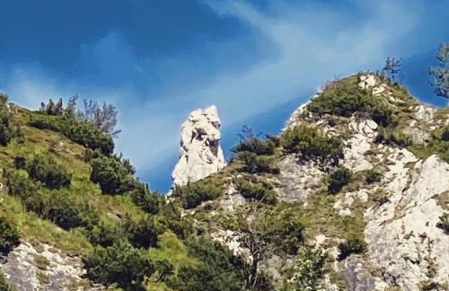 Ferienwohnung Kohl - Dachlmoos - Foto 17