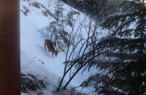 Le Ciel Bleu - Foto 13