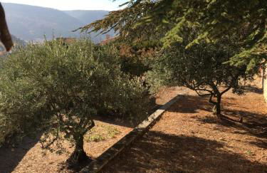 Location Bonnieux Provence - Foto 15