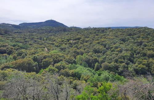 La Bastide Bleue - Foto 37