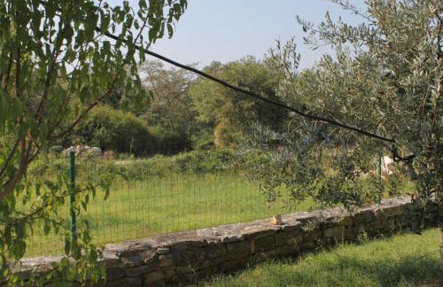 Apartments with a parking space Heraki, Central Istria - Sredisnja Istra - 7167 - Foto 28