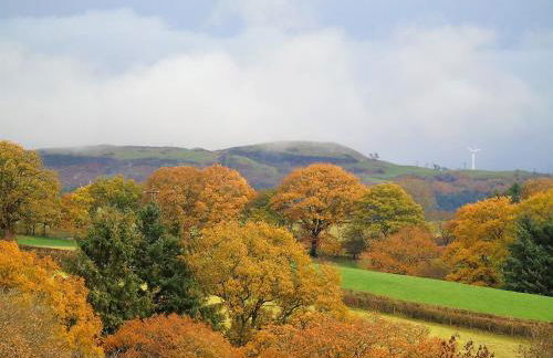 Pwllgwilym B & B - Foto 9