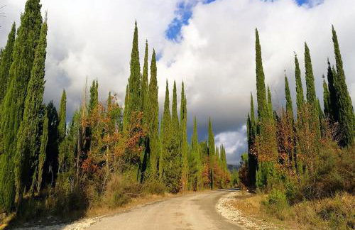 Bungevilia Apartment - Foto 14