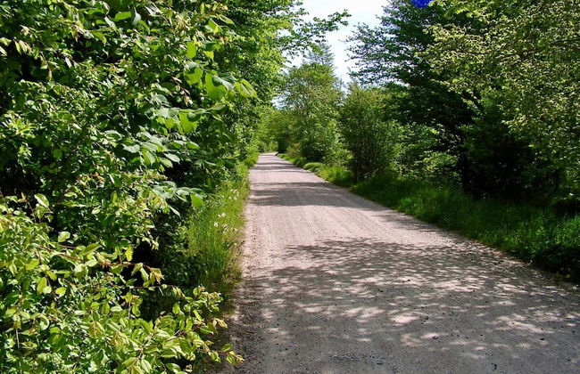 6 Person Holiday Home in Taastrup - Photo 11