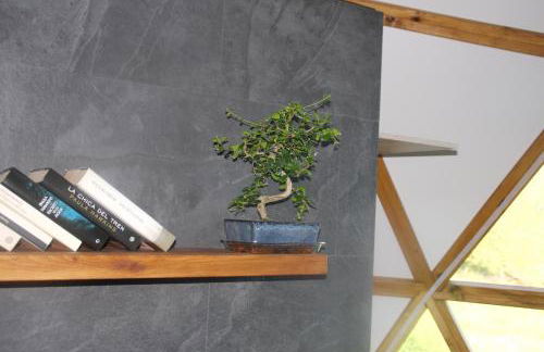 Los Acebos de Peña Cabarga, Cúpula experiencias - Foto 65