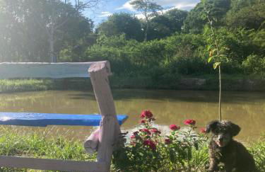 Sítio Luz das Estrelas - Foto 38