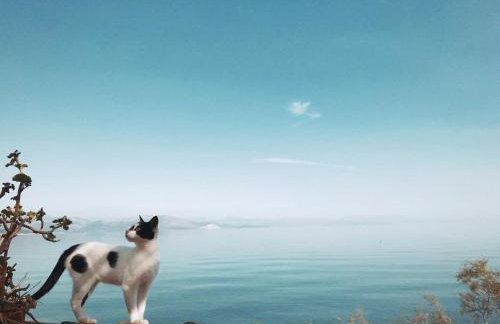 The Artist's Farm - Foto 56