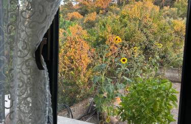 Ambelos, Lesvos Beach House - Foto 33