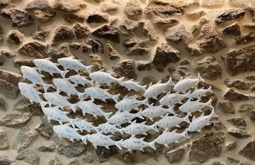 As Penedas, Casa dos Arcos - Foto 43