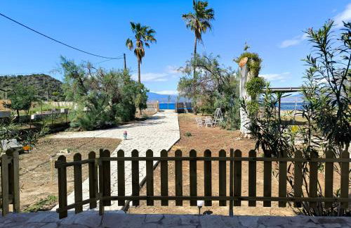 Palm tree house by the beach - Foto 1