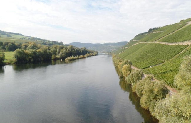 Apartment in Veldenz With Balcony - Foto 34