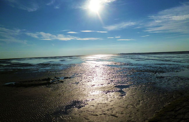 Sahlenburger Ferienhaus - Foto 27